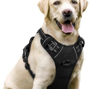 small dog body leash