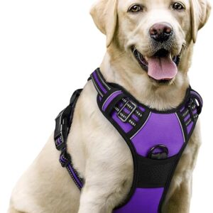 dog harness and leash set