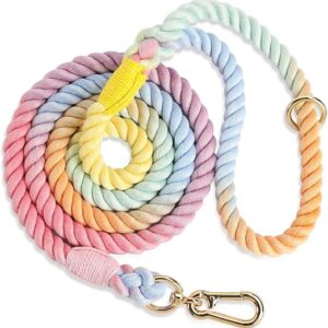 rope dog leash