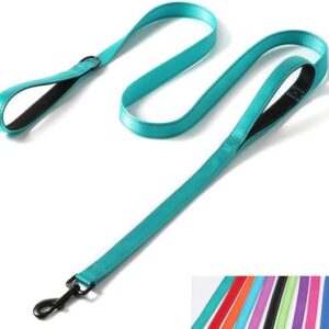 double loop dog leash​