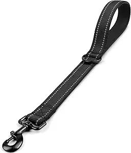 short leash for dog training​