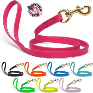 biothane dog leash