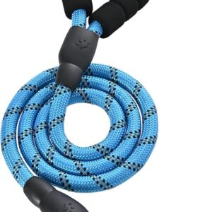 heavy duty dog leash