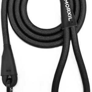 locking leash for dogs​