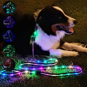 smart leash for dogs​