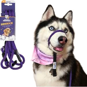heathers heroes dog leash​