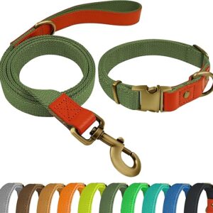 green dog collar and leash​