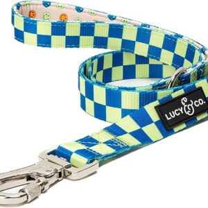 cute dog leashes