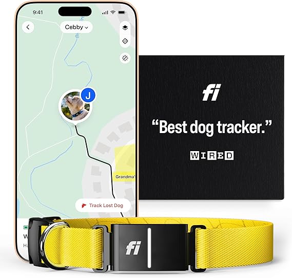 dog smart leash