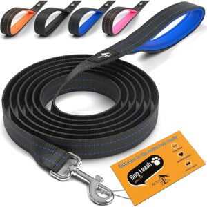 strong leash for big dogs​