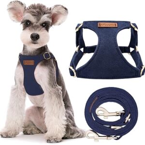 small dog leash harness