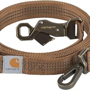 spiked dog leash