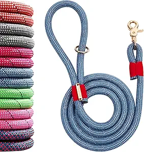 foggy dog leash​