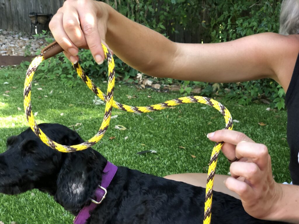 what is a slip lead dog leash​