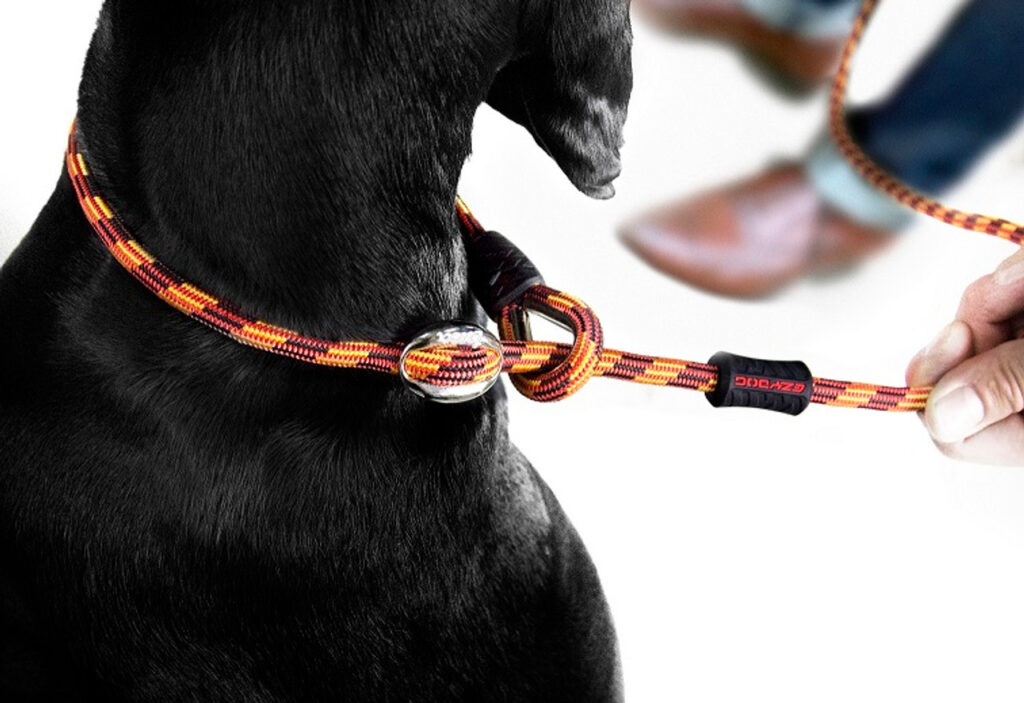how to use slip lead dog leash