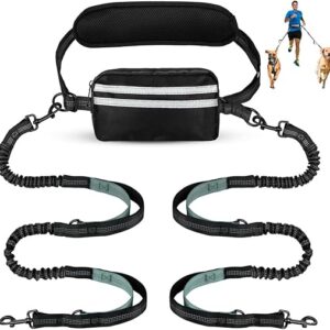 double hands free dog leash​
