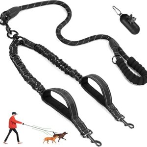 double connection dog leash