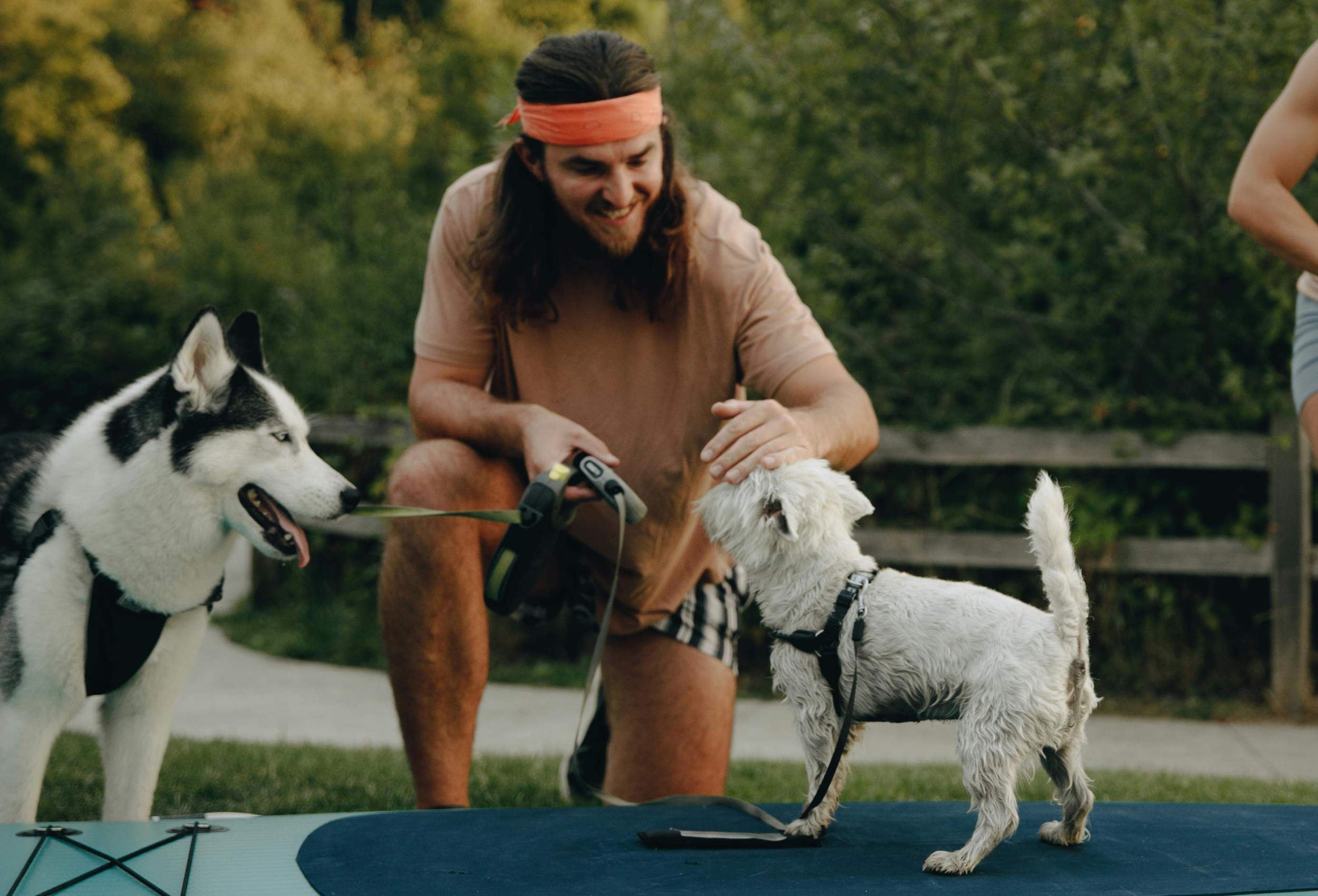 How to Stop Dog from Chewing on Leash: Simple Tips