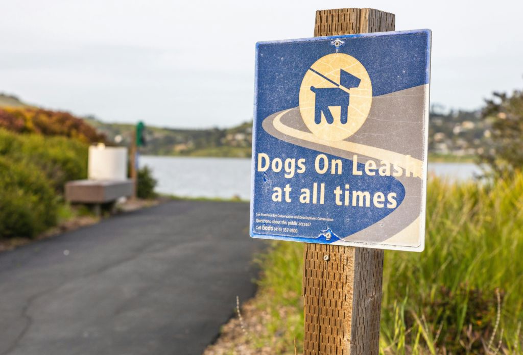 leash laws in alabama