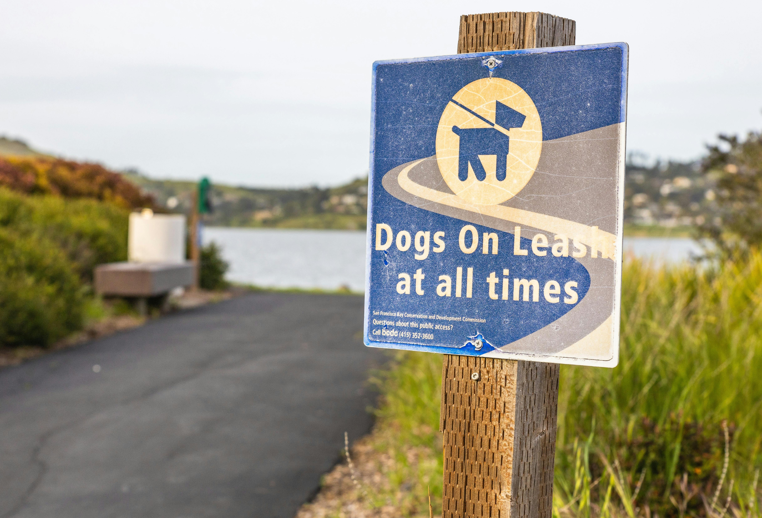 Alabama Leash Law: Rules, Fines & Owner Guide