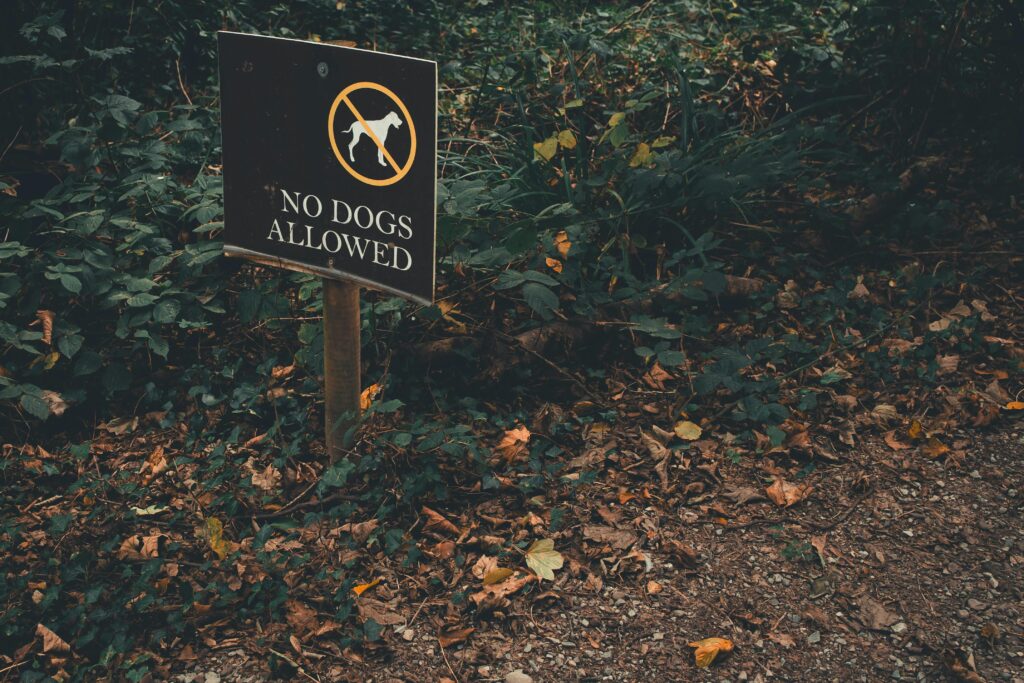 leash law in alabama