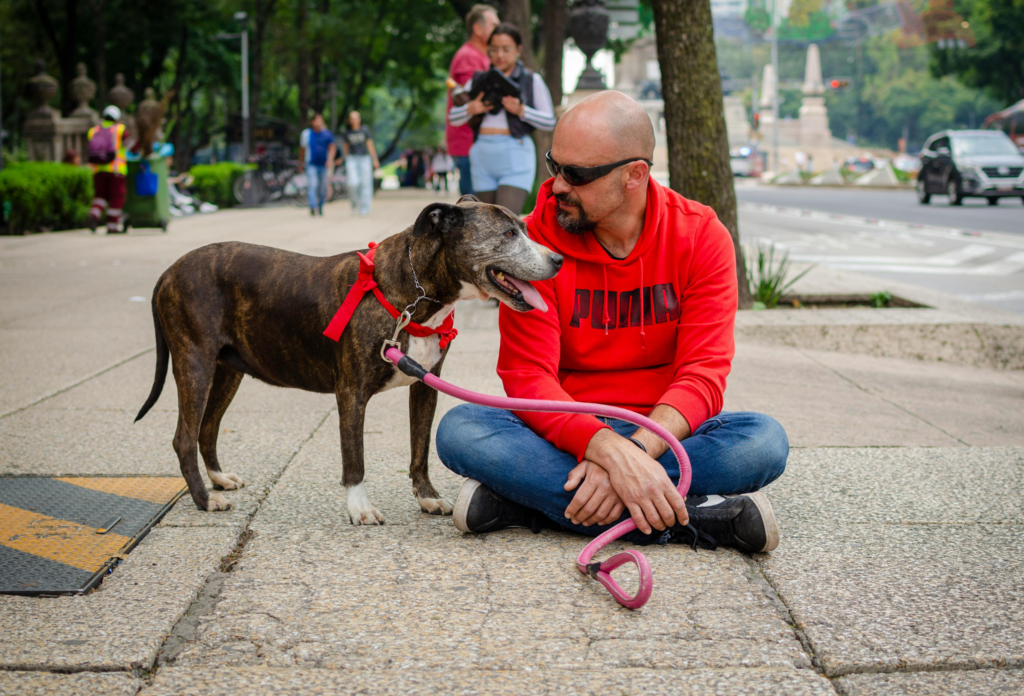pa leash law fine