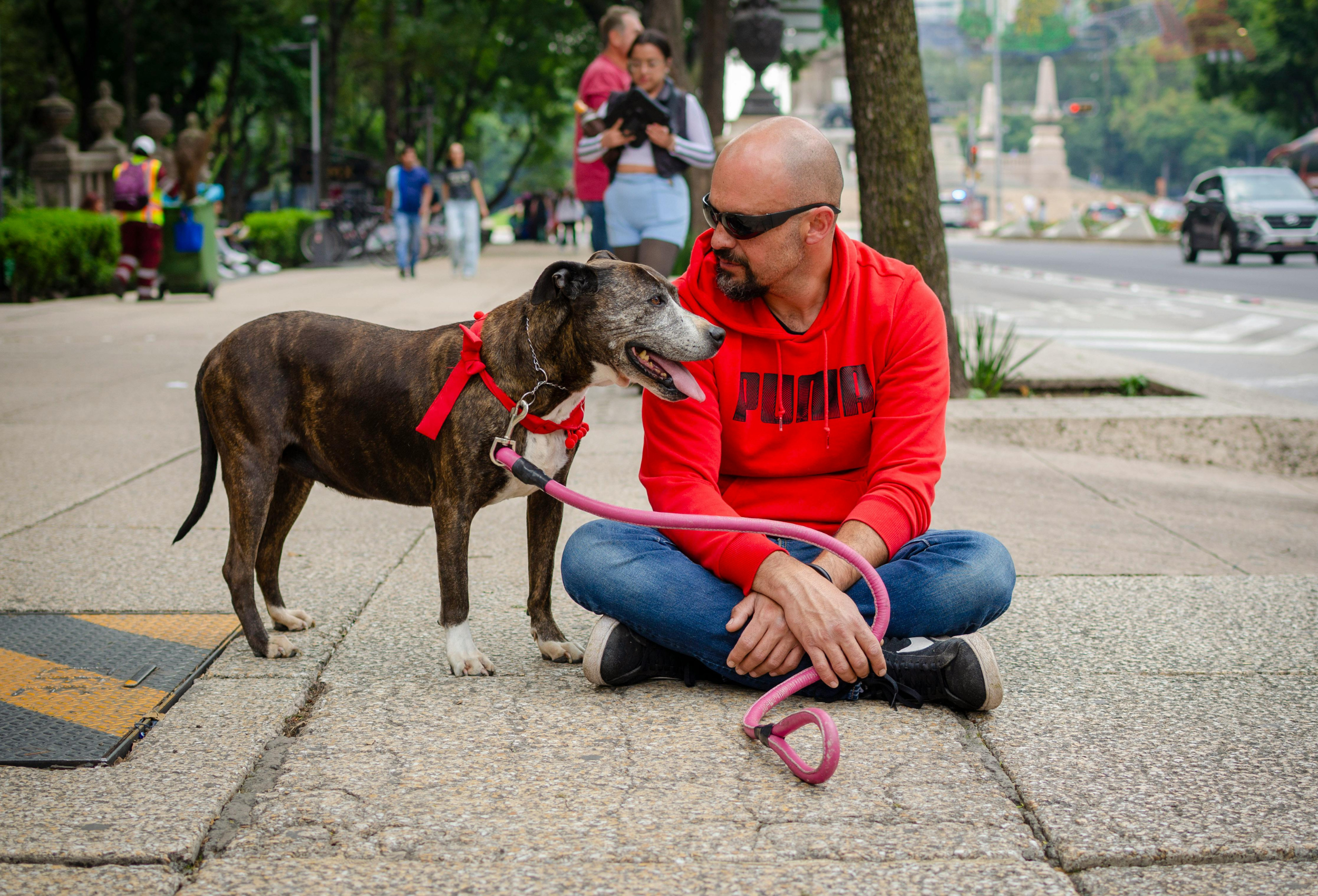 PA Leash Law Explained: Benefits, Rules & Tips for Dog Owners