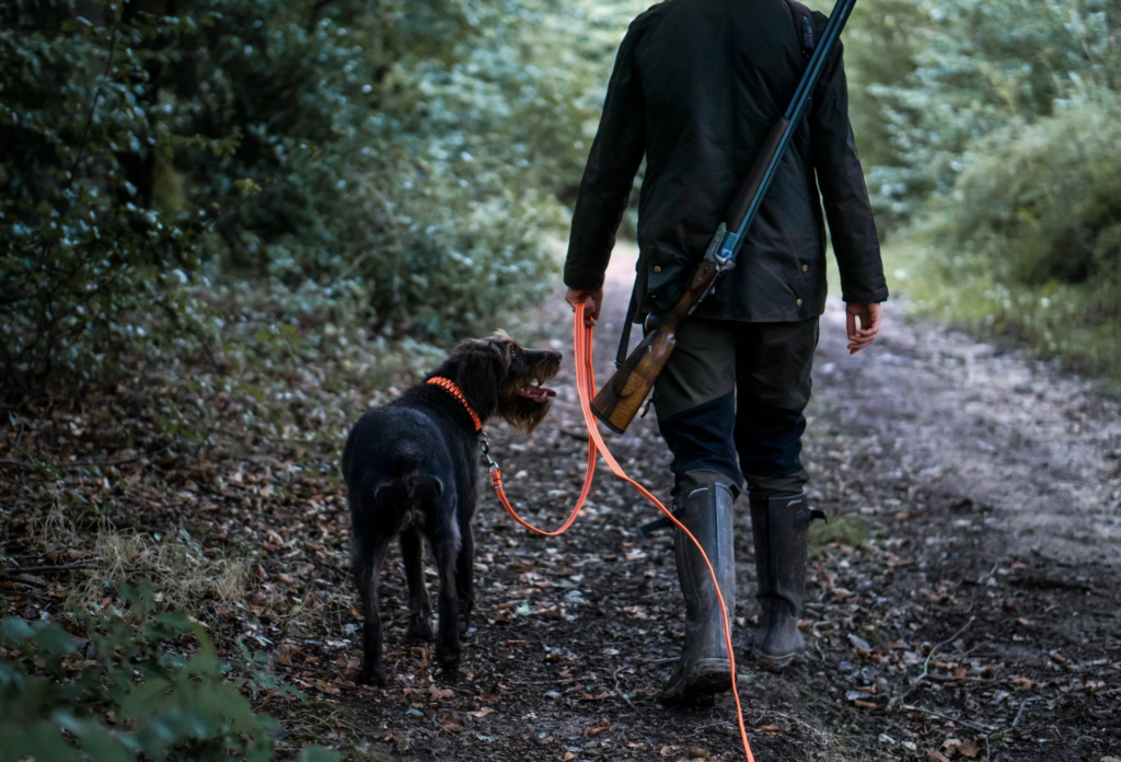 michigan leash law fine